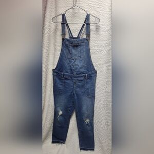 Indigo Blue Women's Denim Maternity Overalls